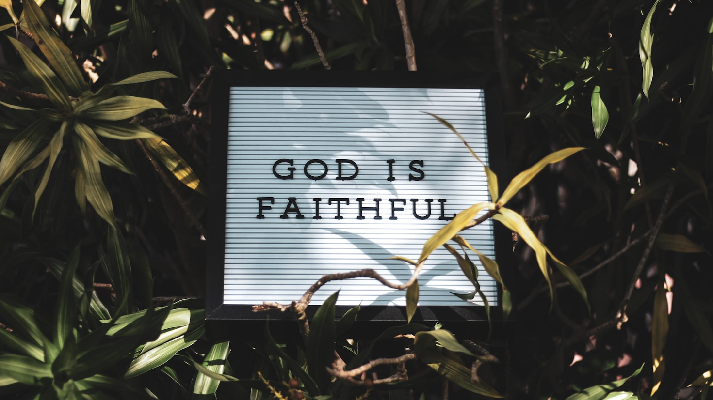 The Role of Love in Spiritual Growth